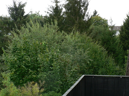 Ruhige, sonnige 2 Zimmer Wohnung mit Südbalkon, Terrasse, Blick ins Grüne und Stellplatz vorm Haus