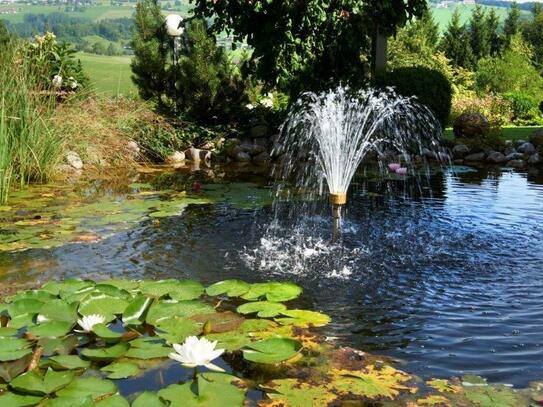 Salzkammergut - Herrschaftliche Liegenschat mit 10 ha Wiese und Wald