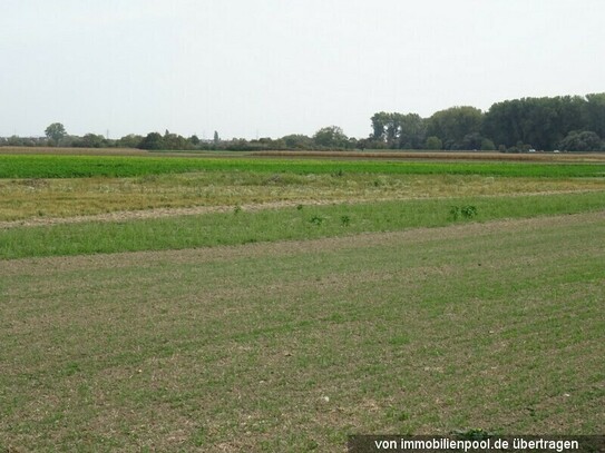 zwei Landwirtschaftsflächen (Zwangsversteigerung)