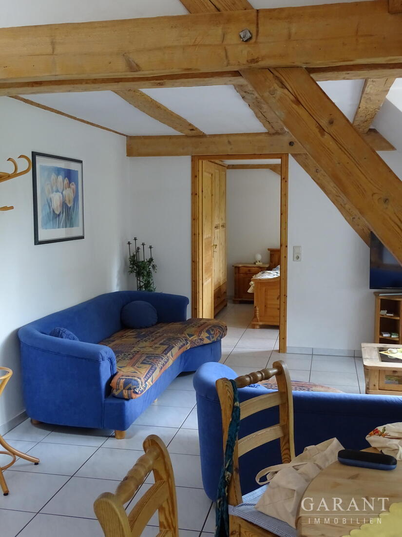 Exklusives Mehrfamilienhaus mit weitläufigem Park in einmaliger Lage! – 79669 Zell im Wiesental, 79669 Zell im Wiesental – Vorschaubild 8