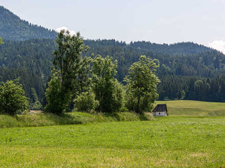 Sonnige Grundstücke in St. Johann