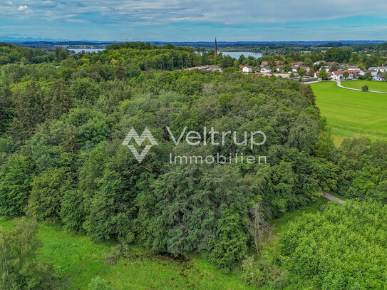 EGERLAICH - GEPFLEGTES WALDGRUNDSTÜCK IM RAUM WÖRTHSEE