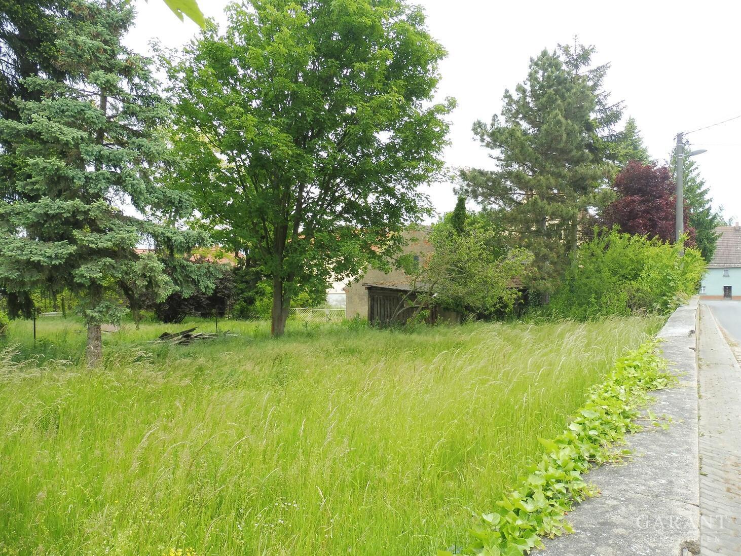 Ländliche Idylle in Nordsachsen – 04874 Belgern, 4874 Belgern – Vorschaubild 8