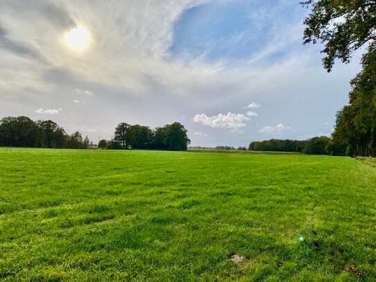 4,6511 ha Grünlandfläche & 1812 m² Laubholz -Streifen mit guter Zuwegung in Renslage zu verkaufen!