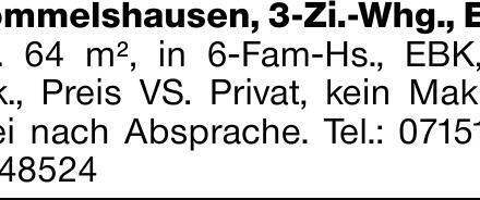Rommelshausen, 3-Zi.-Whg., EG, ca. 64 m², in 6-Fam-Hs., EBK, 2 Blk., Preis...