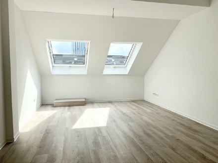moderne Dachgeschosswohnung mit Einbauküche + Fußbodenheizung in Chemnitz City mieten