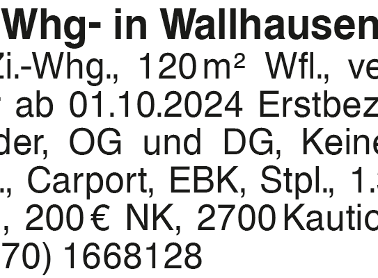 4-Zi.Whg- in Wallhausen