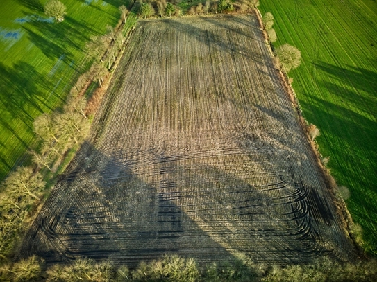 2,24 ha Ackerland in Edewecht