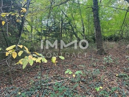 Baugrundstück im Wienerwald! Nahe an Wien!