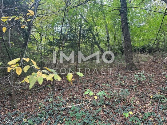 Leben am Waldrand! Baugrundstück im Wienerwald! Nahe an Wien!