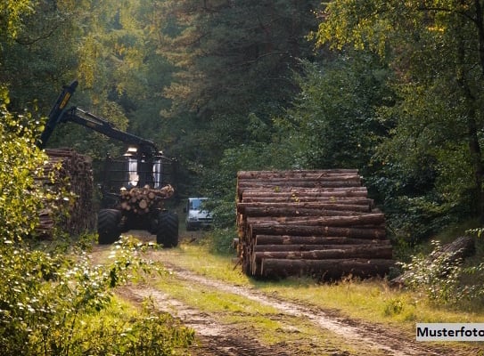 Waldfläche + provisionsfrei +