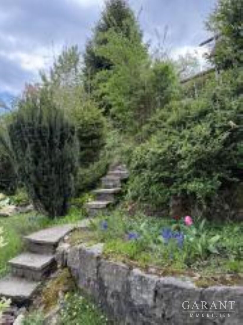 Naturnahes Mehrfamilienhaus mit drei Wohneinheiten und großem Garten in schöner Aussichtslage – 79837 St. Blasien, 79837 St. Blasien – Vorschaubild 19