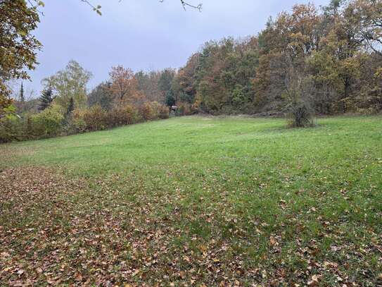 Freizeitgrundstück in sonniger Südlage von Pettstadt/ Distelberg