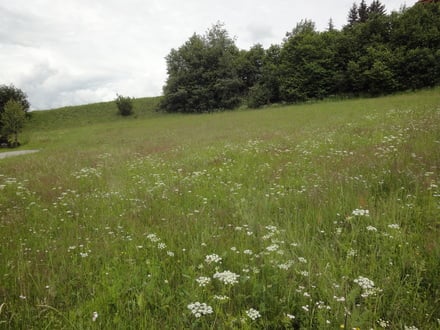 Wunderschöner Baugrund in Südhang Lage in St.Andrä i. Lungau