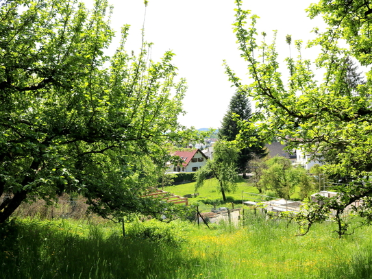 Grundstück mit Altbestand in Hang/Waldrandlage für Naturliebhaber in Altenstadt/Iller