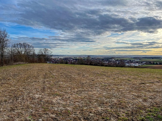 Landwirtschaftliche Fläche bei Großköllnbach