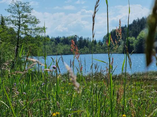 Saissersee: Bungalow in absoluter Seenähe