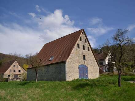 DENKMALSCHUTZ - STEUERN SPAREN FÖRDERUNGEN ERHALTEN Sehr schöne Scheune mit Anbau zur Wohnnutzung im Nürnberger Land