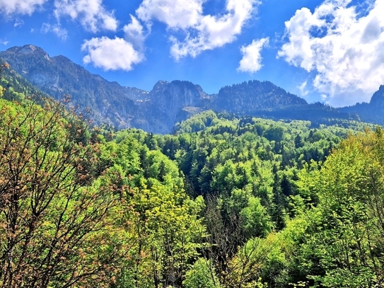 Ruhige und toll aufgeteilte DG-Wohnung inkl. zwei Parkplätze und Bergblick! HAUSTIERE WILLKOMMEN!