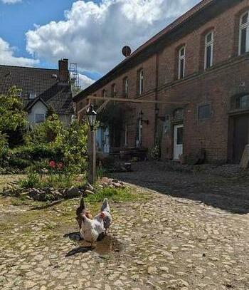 Vollständig renoviertes Bauernhaus nahe Braunschweig