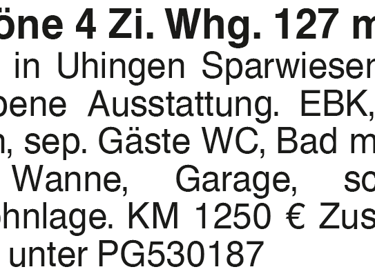 Schöne 4 Zi. Whg