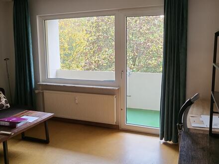 Helle, geräumige 1-Zimmer-Wohnung mit Balkon in ruhiger, naturnaher Lage mitten in der Neustadt
