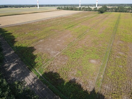 Ackerland - Landwirtschaftliche Flächen in Bippen - Ohrte/Ohrtermersch