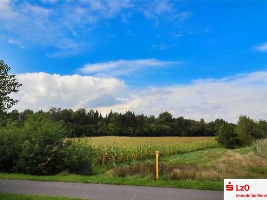 Landwirtschaftliche Fläche in Lohne nach Gebot zu verkaufen