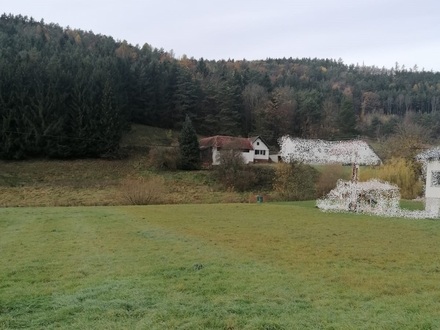 Ehemaliges Bauernhaus mit 6000 m² Grundstück!