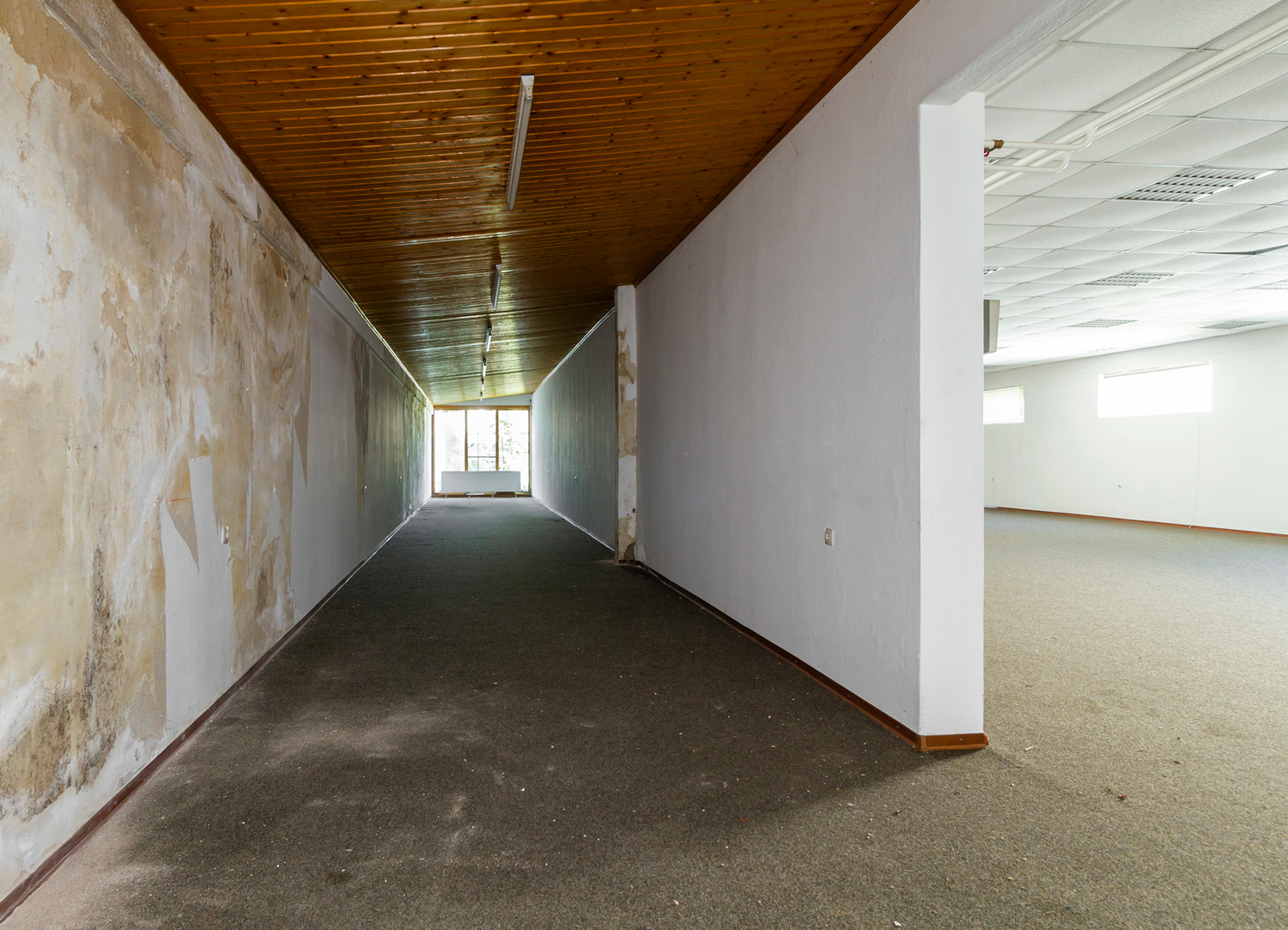 3-Familienhaus mit gr. Gewerbehalle in ruhiger Lage von Griesheim – 64347 Griesheim, 64347 Griesheim – Vorschaubild 41