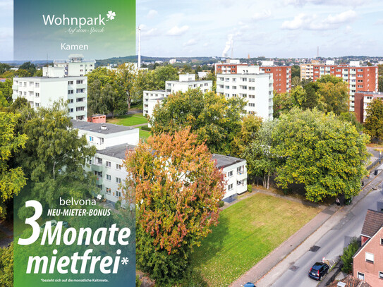 Wohnpark Auf dem Spieck: 2 Zi- Ahorn-Luxuswohnung frisch saniert. 3 Monate sind mietfrei!!