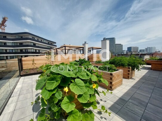 Leistbares Eigentum in top Lage! Balkon, Urban gardening auf der Dachterrasse! Provisionsfrei!