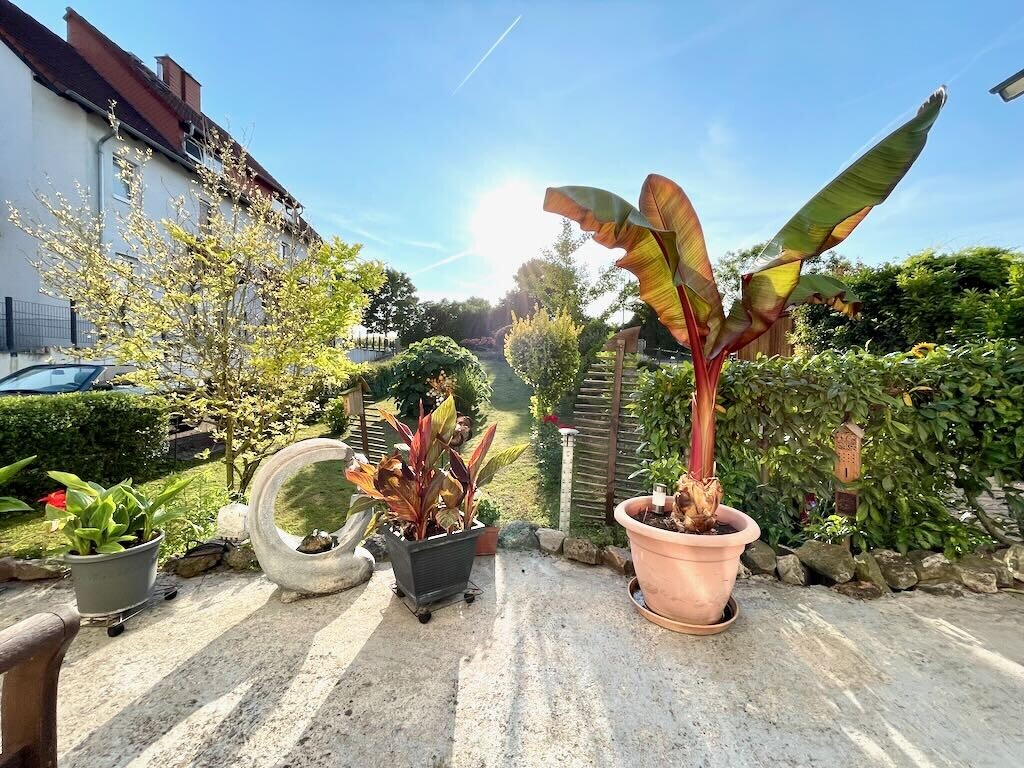 Sonniger und großer Garten - Großmutters Häuschen wartet auf die junge Familie – 55294 Bodenheim, 55294 Bodenheim – Vorschaubild 3