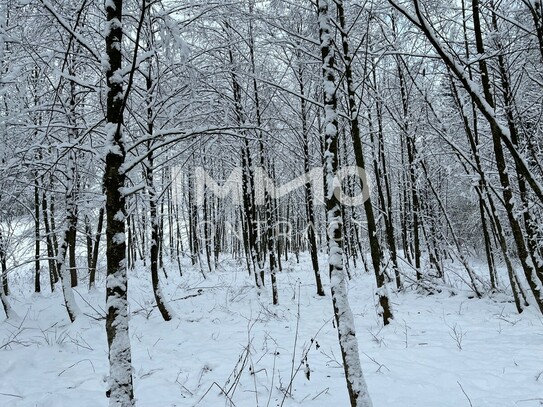 Erholung pur im eigenen Wald mit Bach und Wiese