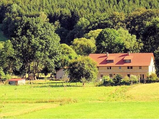 Einzigartiges Naturidyll: Historische Hammermühle mit Biozertifizierung und 5 Hektar Grundstück