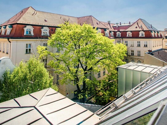 WALSER: Besondere Terrassenwohnung in City-Lage - Erstbezug nach aufwendiger Sanierung!