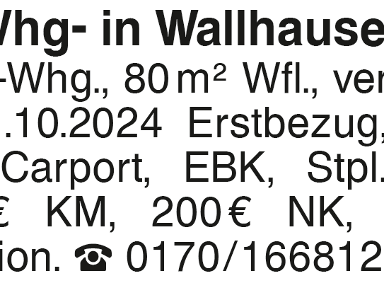 3Zi.-Whg- in Wallhausen