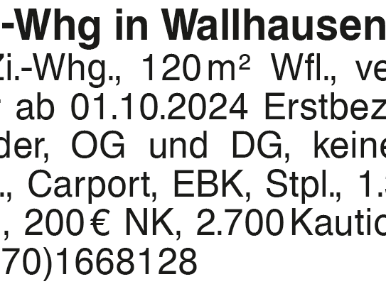 4-Zi.-Whg in Wallhausen