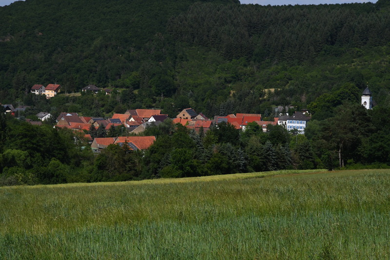 Finkenbach-Gersweiler ist von Wald umgeben. Foto: Schifferstein