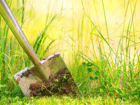 Laufen: Großes Baugrundstück mit Vorbescheid für vier Baukörper im Mischgebiet!