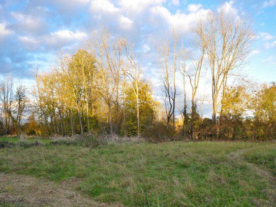 NATURSCHÖNHEIT - großes Baugrundstück in Kronstorf