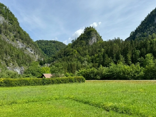 Sonnengrund an der Lammer