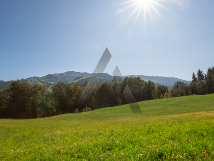 Luxuriöse Chalets an der Skiwiese in bester Panoramalage