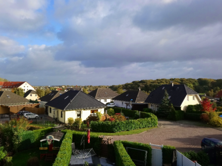 Möwennest an der Ostsee