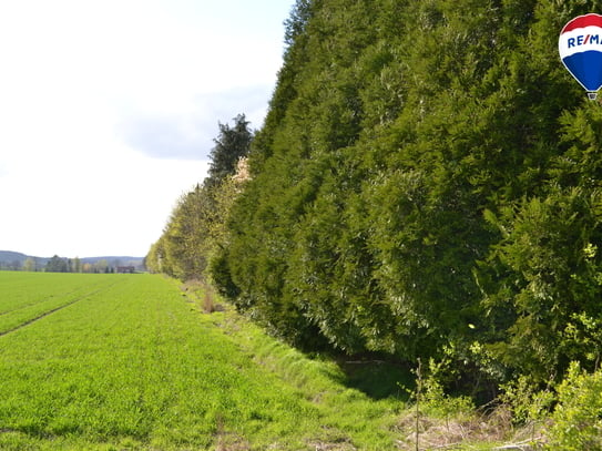 Vielseitiges Grundstück mit Entwicklungspotential, Ideal für Photovoltaik