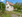 Charmantes Häuschen mit tollem Grundstück in Bad Schussenried