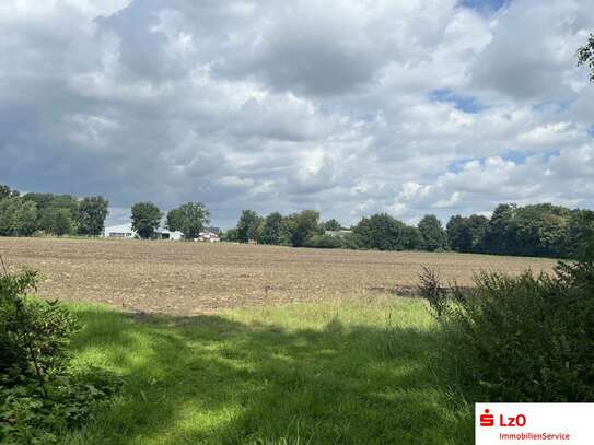 Bestes Ackerland in Visbek-Wöstendöllen zu verkaufen