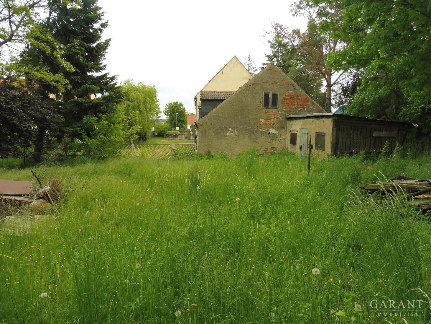 Ländliche Idylle in Nordsachsen – 04874 Belgern, 4874 Belgern – Vorschaubild 6