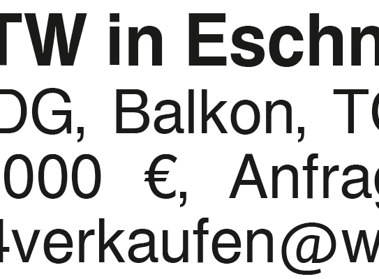 3,5 Zi ETW in Eschenbach