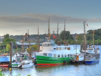 Finkenwerder - Eine Insel mit zwei Welten